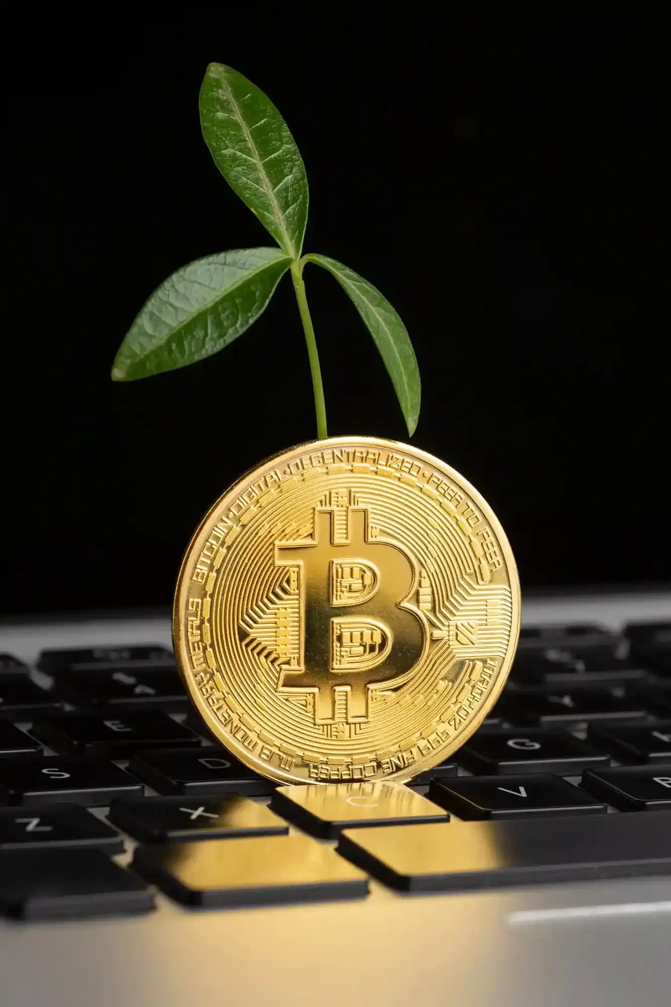 Cryptocurrency Basics for Conservative Investors