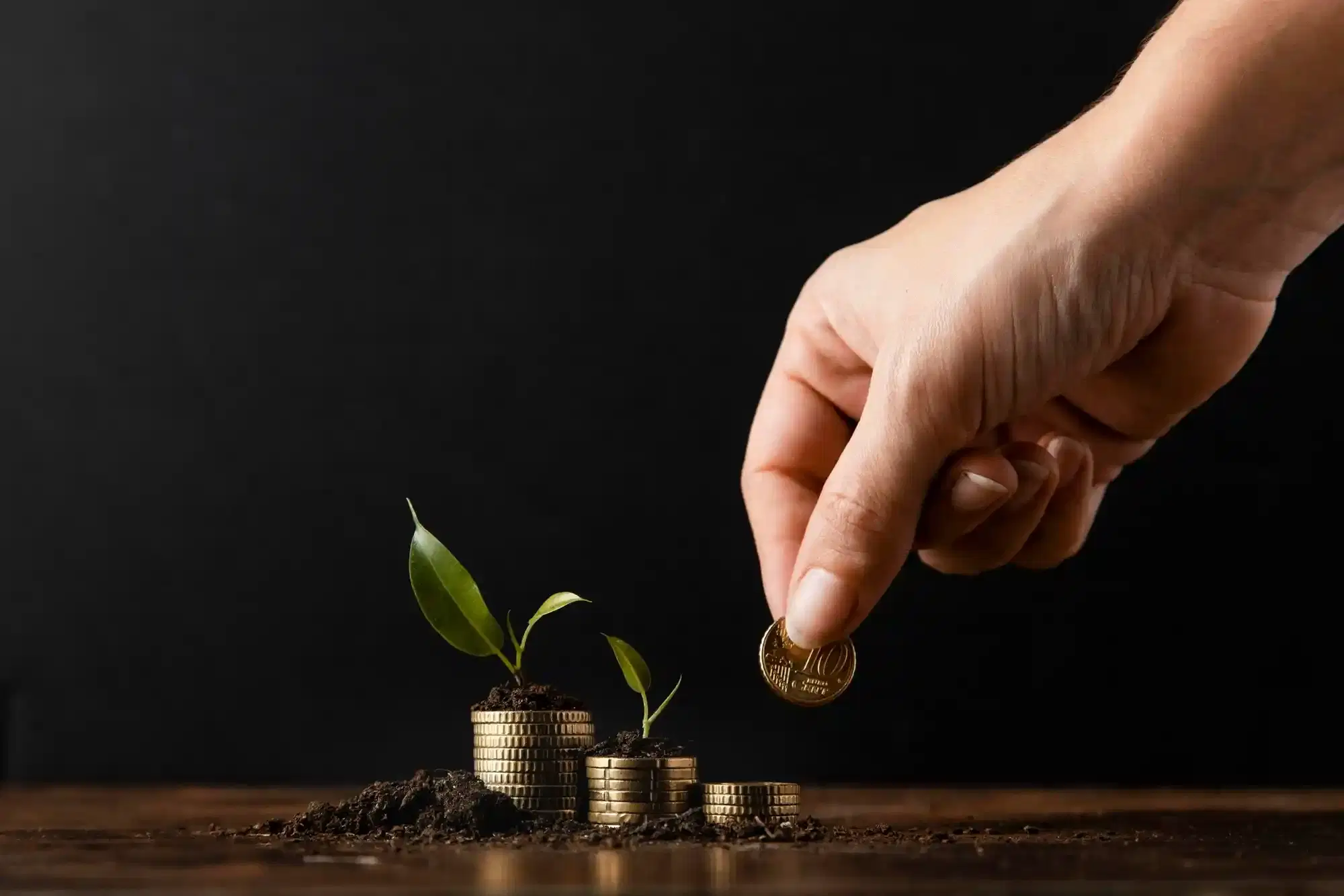 Beginner's Guide to Mutual Fund Investing